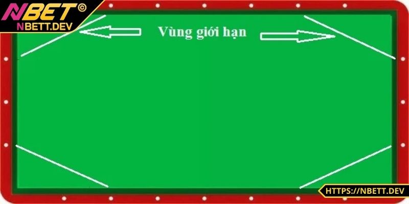 Đặt cược và theo dõi 